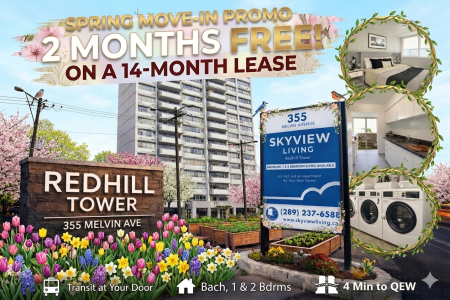 INTRO AD, SPRING, V1